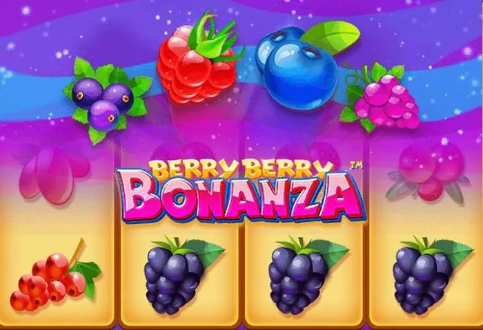 Boomerangcasino Mağazası'nda VIP avantajları ve özel ürünler sizi bekliyor