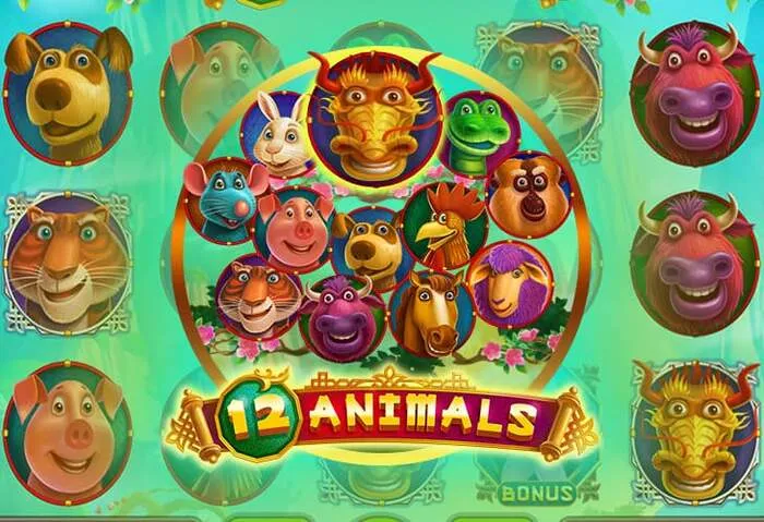 Boomerangcasino Store'da özel bonuslar ve promosyonlar keşfedin
